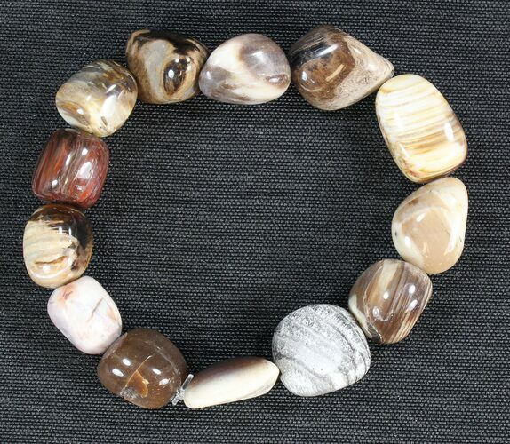 Polished Oregon Petrified Wood Bracelet #40854